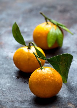 masada taze ıslak mandalina 