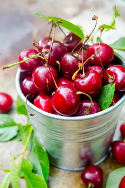 yeşil yaprakları ile metalik kova kırmızı taze kiraz 