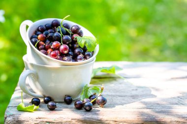 ahşap masada fincan açık havada bilberries 