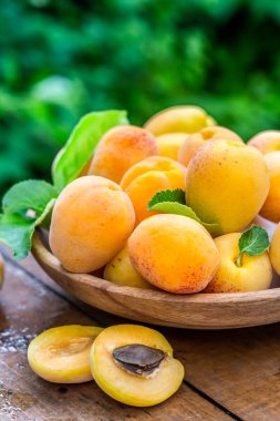 Ahşap tabak içinde sarı kayısılar. 