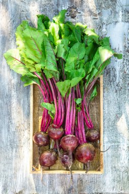 ahşap tepsi üzerinde sapları üzerinde taze Pancar 