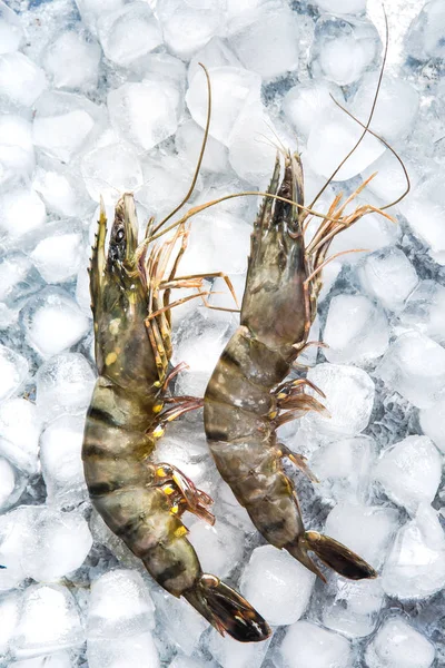 Vue Dessus Grosses Crevettes Vertes Non Cuites Fruits Mer Crevettes — Photo