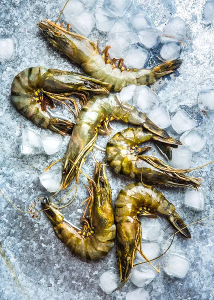 Grosses Crevettes Vertes Fruits Mer Crevettes Royales Cubes Glace — Photo