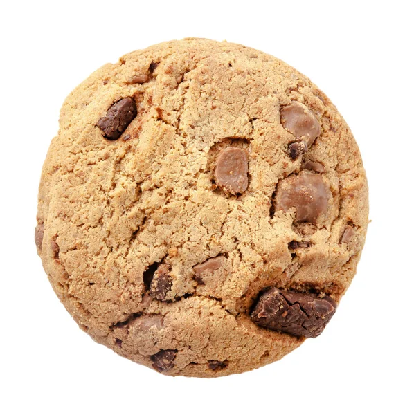 One Brown Biscuit Chocolate Cookie Isolated White Stock Picture