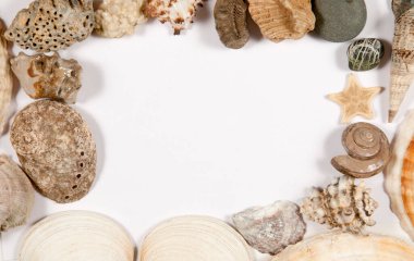 Deniz kabukları ve antikalar sınır arkaplanını metin için kullanılacak yer olarak çerçeveletti. Üst görünüm.
