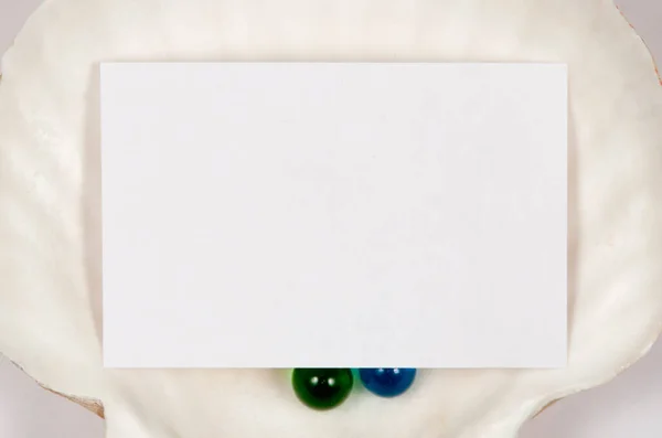 Muschelrahmen Hintergrund Mit Der Stelle Für Text Ansicht Von Oben — Stockfoto