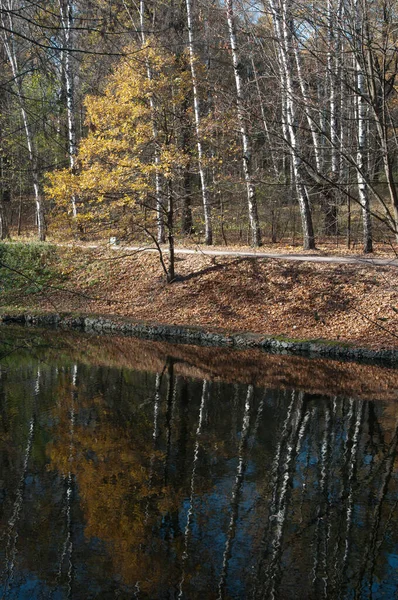 Paisagem Outono Com Uma Lagoa Parque Sokolniki Rússia Moscou — Fotografia de Stock