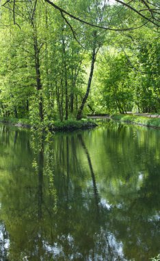 Sokolniki Parkı, Moskova, Rusya 'da bir göl manzarası