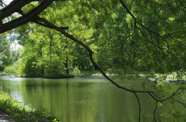Sokolniki Parkı, Moskova, Rusya 'da bir göl manzarası