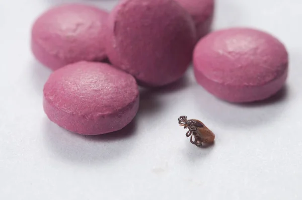 Mite Tablets Macro Shot Local Focus — Stock Photo, Image