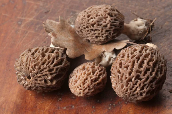 Morel Hongo Primer Plano Disparo Enfoque Local — Foto de Stock