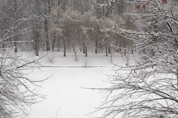 Winter Landscape Pond Sokolniki Park Moscow Russia — Stock Photo, Image