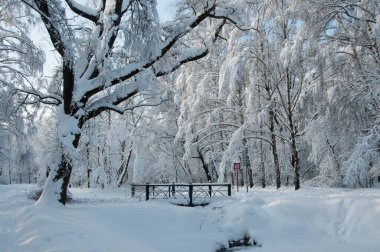 Kar fırtınasından sonra parkı olan kış manzarası