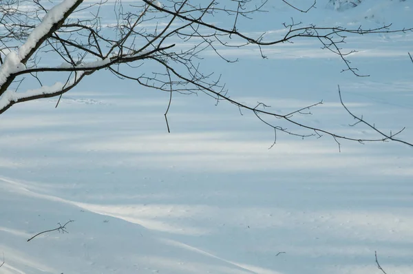 Zimowy Krajobraz Stawem Sokolniki Park Moskwie Rosja — Zdjęcie stockowe
