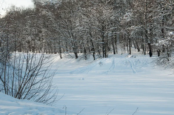 Paisaje Invierno Con Estanque Parque Sokolniki Moscú Rusia — Foto de Stock