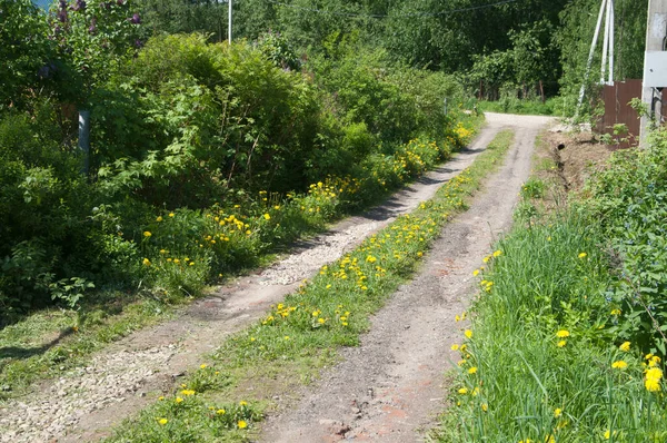 Soil road with broken stones in dacha community