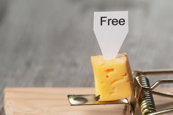 Free Cheese Mousetrap Conception Risk Danger — Stock Photo, Image