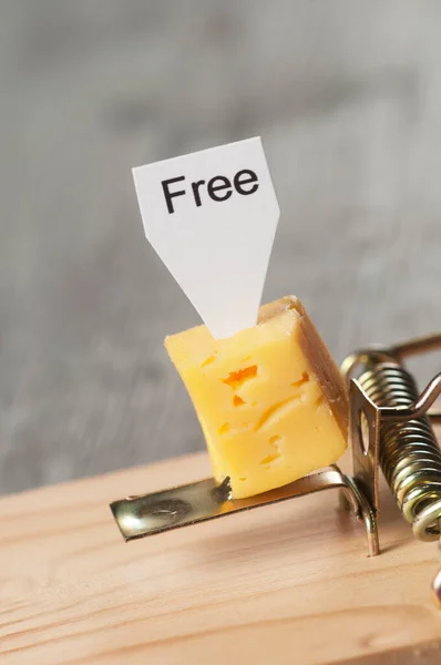 Free Cheese Mousetrap Conception Risk Danger — Stock Photo, Image