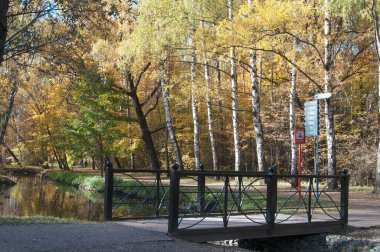 Moskova, Rusya 'daki Sokolniki parkında sonbahar manzarası