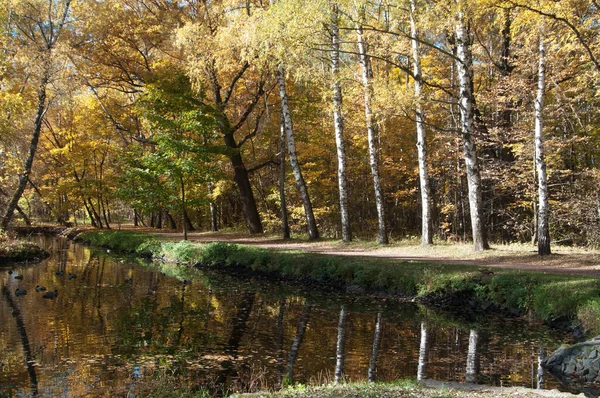 Осенний Пейзаж Парка Сокольники Москве — стоковое фото