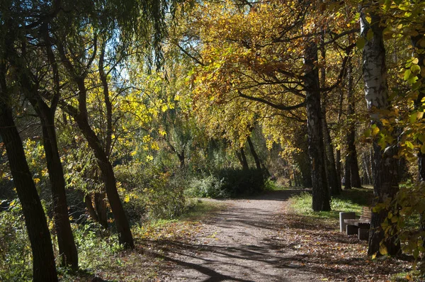 Paesaggio Autunnale Nel Parco Sokolniki Mosca Russia — Foto Stock