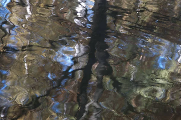 Spiegelung Von Herbstbäumen Teich Als Hintergrund — Stockfoto