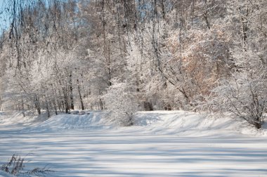 Kar fırtınasından sonra parkı olan kış manzarası