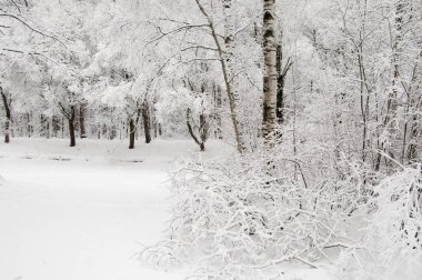Kar fırtınasından sonra parkı olan kış manzarası