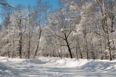 Kar fırtınasından sonra parkı olan kış manzarası