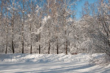 Kar fırtınasından sonra parkı olan kış manzarası