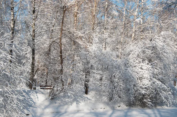 Paisaje Invernal Con Parque Después Tormenta Nieve — Foto de Stock