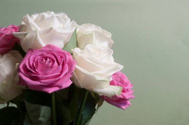 Yeşil arkaplanda güller uçuşuyor, yakın plan çekim