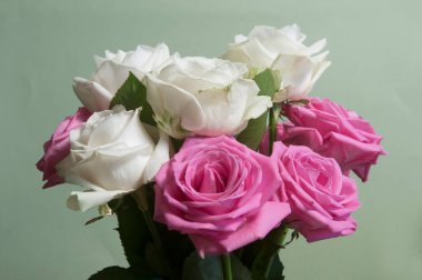 Yeşil arkaplanda güller uçuşuyor, yakın plan çekim