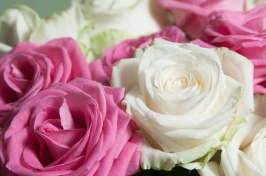 Yeşil arkaplanda güller uçuşuyor, yakın plan çekim