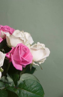 Yeşil arkaplanda güller uçuşuyor, yakın plan çekim