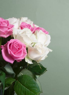 Yeşil arkaplanda güller uçuşuyor, yakın plan çekim