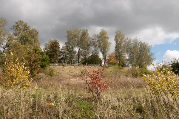 Polenovo Parc Paysage Automne Journée Ensoleillée Photo De Stock