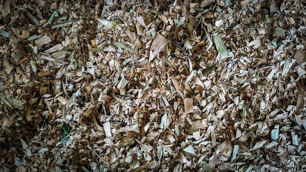 kuru yaprak çöp hazır depolama alanları atılmış toplanan.