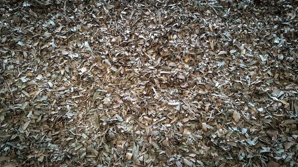 Dry Leaf Litter Collected Ready Dumped Landfills — Stock Photo, Image