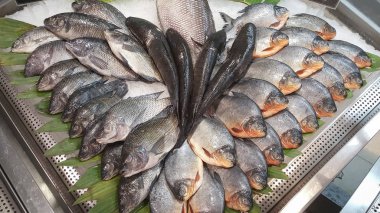 Taze görücü usulü taze balık pazarlanmasına hazırdır