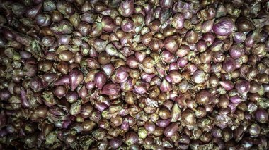 Taze soğan geleneksel pazarlarda satılan hazır mısınız