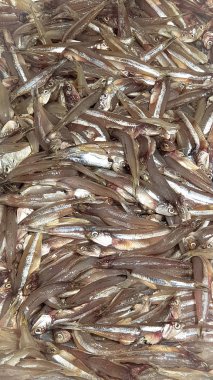 Taze deniz ürünleri desplay yerel pazarı mağazası