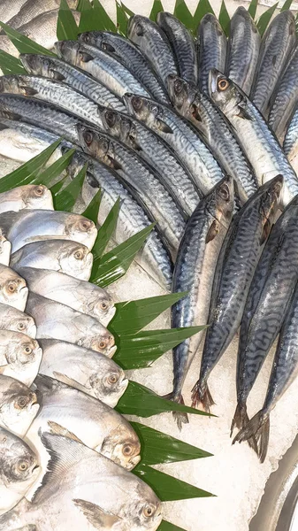 Taze deniz ürünleri desplay yerel pazarı mağazası