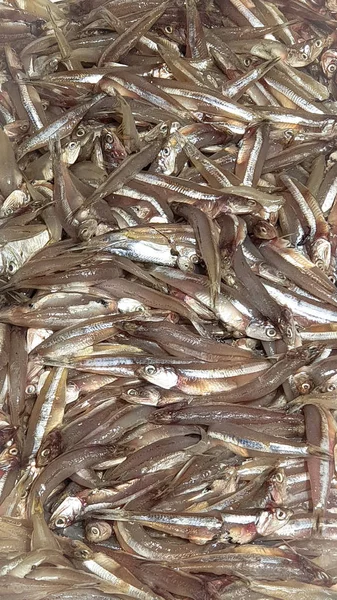 Taze deniz ürünleri desplay yerel pazarı mağazası