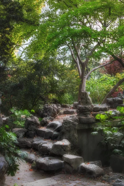 Scène de parc avec arbres, feuillage vert vif, pierres et escaliers — Photo