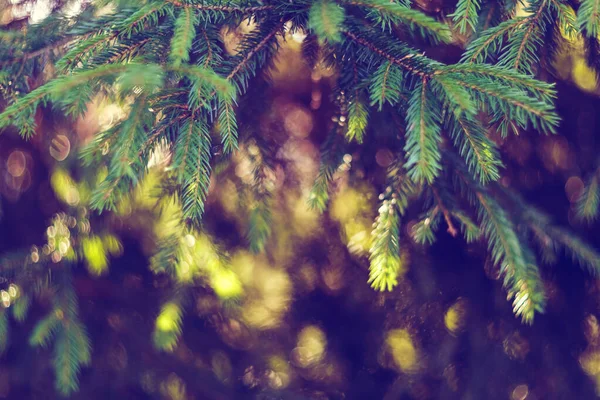 Festlicher weihnachtlicher Hintergrund mit Lichtern — Stockfoto