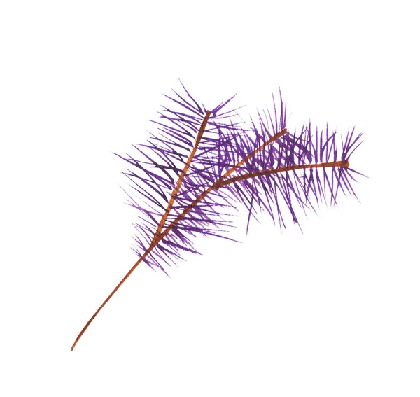 Purple hand-drawn watercolor pine twig — Stock Photo, Image