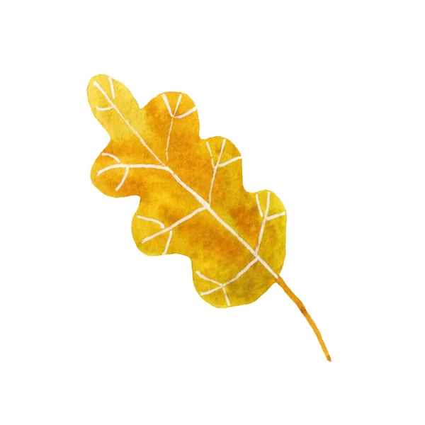Akvarel ručně kreslený žlutý dubový list — Stock fotografie