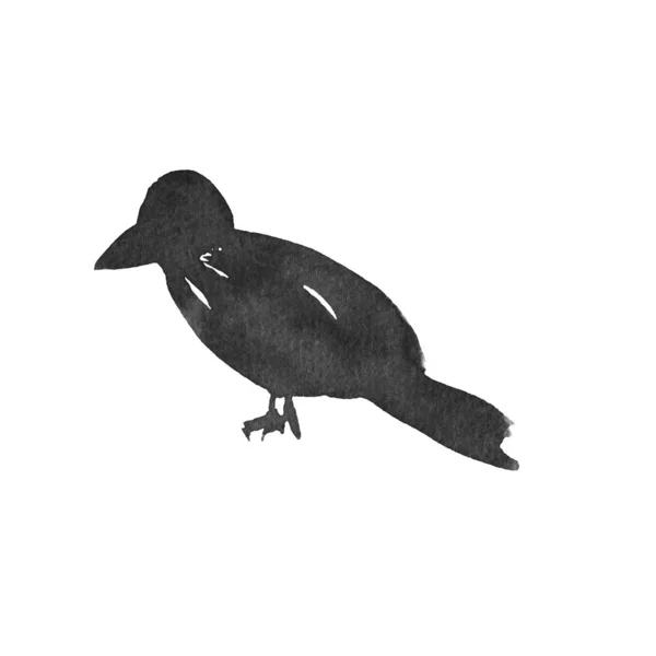 Чорний акварельний чорнильний ворон — стокове фото