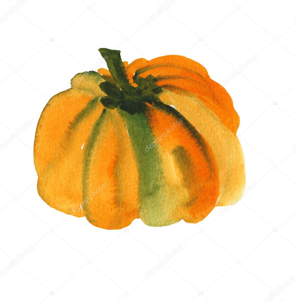 Autumn orange watercolor pumpkin
